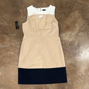 The Limited Dress NWT Size 14